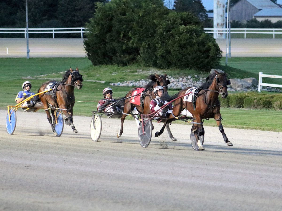 Expert handicapping &amp; selections by <a href="/gocashking/">Garnet Barnsdale</a> for Sunday, Dec. 12, 2021 @FlamboroDownsTV
ontarioracing.com/picks-results-…
<a href="/Wee3Minis/">Kim Barnsdale🌻💙💛</a> <a href="/PTMikeandMike1/">Post Time Mike/Mike</a> <a href="/mcarte1/">Michael Carter</a> <a href="/TheTriactor/">The Triactor</a> #HorseRacing #handicapping #OntarioRacing #TipsFromThePros
