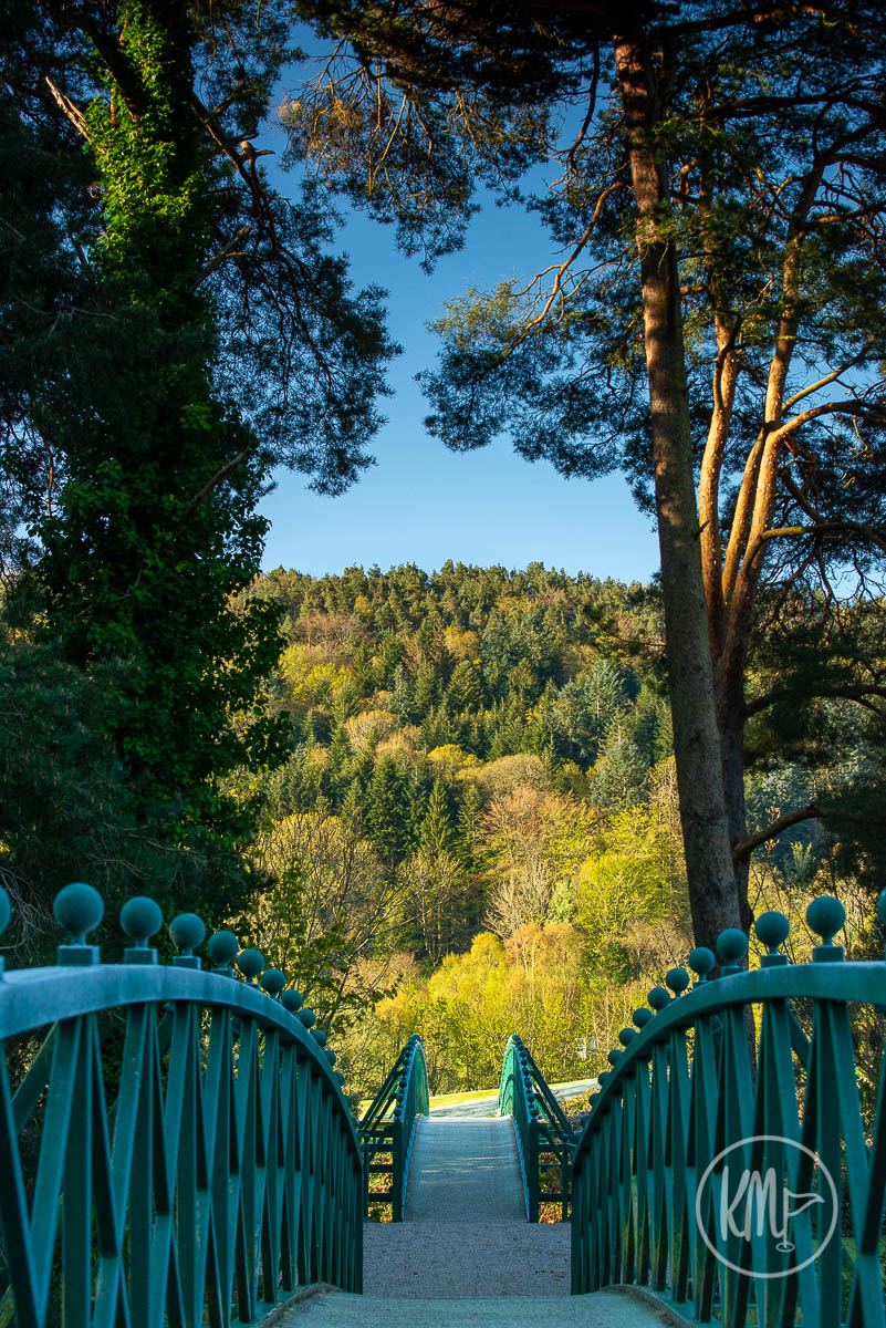 Over the next few days I'll be posting my Top 10 Golf Photographs of the year.

Here's a non-golf golf shot. Frost <a href="/woodenbridgegc/">Woodenbridge Golf Club</a> in May. The bridge crossing the Avoca River.