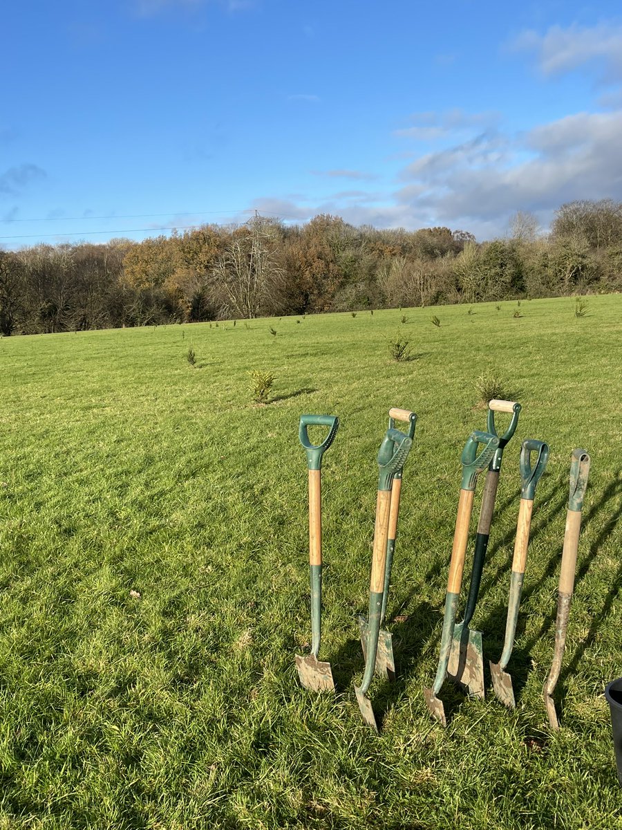 reelmasterprod's tweet photo. Loved photographing #walkingforest final tribute in #Coventry . Today 2 trees were planted! @Coventry2021 🌲 https://t.co/hZHgAYZ9J7
