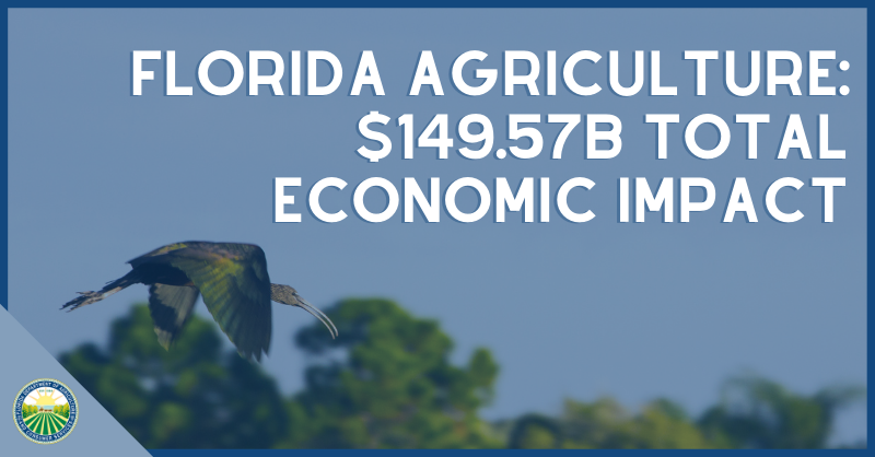 NikkiFriedFL's tweet photo. Day 12 of #25DaysofFDACS!

Agriculture is the 2nd largest industry in the state, producing 300+ commodities and employing 2.4 million Floridians, including farmers, ranchers and fishermen — a total economic impact of over $149B! https://t.co/i7cUKdFLqd