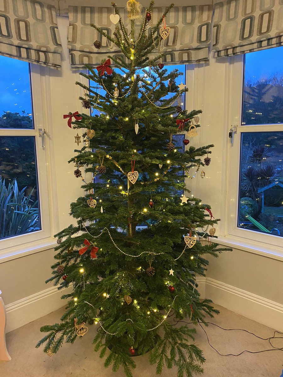 <a href="/PlymouthMillbay/">Millbay Plymouth</a> <a href="/Le_Vignoble/">Le Vignoble Plymouth</a> Very tasteful and understated: looks great from the road too. And not a sprig of tinsel in sight #bestplymxmastree
