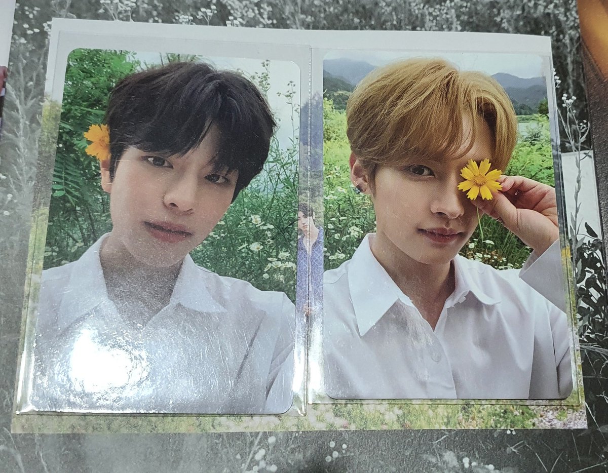 forparkjwoo's tweet photo. β hi @CARTFORSTAY! this is actually my first skz pcs π€© hopefully ill get to collect more! thank you so much for bringing 2min home in good condition π₯° #cfsfeedbacks https://t.co/t6aT08l4Oh