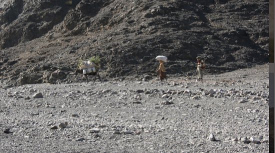 Arash Ghoddousi (@arashghoddousi) on Twitter photo If you’re attending @ICCB2021, join our symposium ‘Navigating the social-ecological #effectiveness of #protectedareas’ tomorrow (Monday) at 13:00 (CET) w/ <a href="/Loos_Jac/">Jacqueline Loos</a>, <a href="/eklund_jo/">Johanna Eklund</a>, <a href="/jgeldmann/">Jonas Geldmann</a>, @madasascientist & M. Frietsch! Looking forward to seeing many of you there! If you’re attending @ICCB2021, join our symposium ‘Navigating the social-ecological #effectiveness of #protectedareas’ tomorrow (Monday) at 13:00 (CET) w/ <a href="/Loos_Jac/">Jacqueline Loos</a>, <a href="/eklund_jo/">Johanna Eklund</a>, <a href="/jgeldmann/">Jonas Geldmann</a>, @madasascientist & M. Frietsch! Looking forward to seeing many of you there!