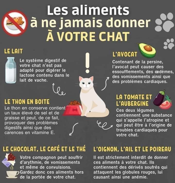 Pit0une1's tweet photo. 🐈‍⬛🐈🚫🍆🧄🧅🥛🍅🚫 https://t.co/KTSoBFho5l
