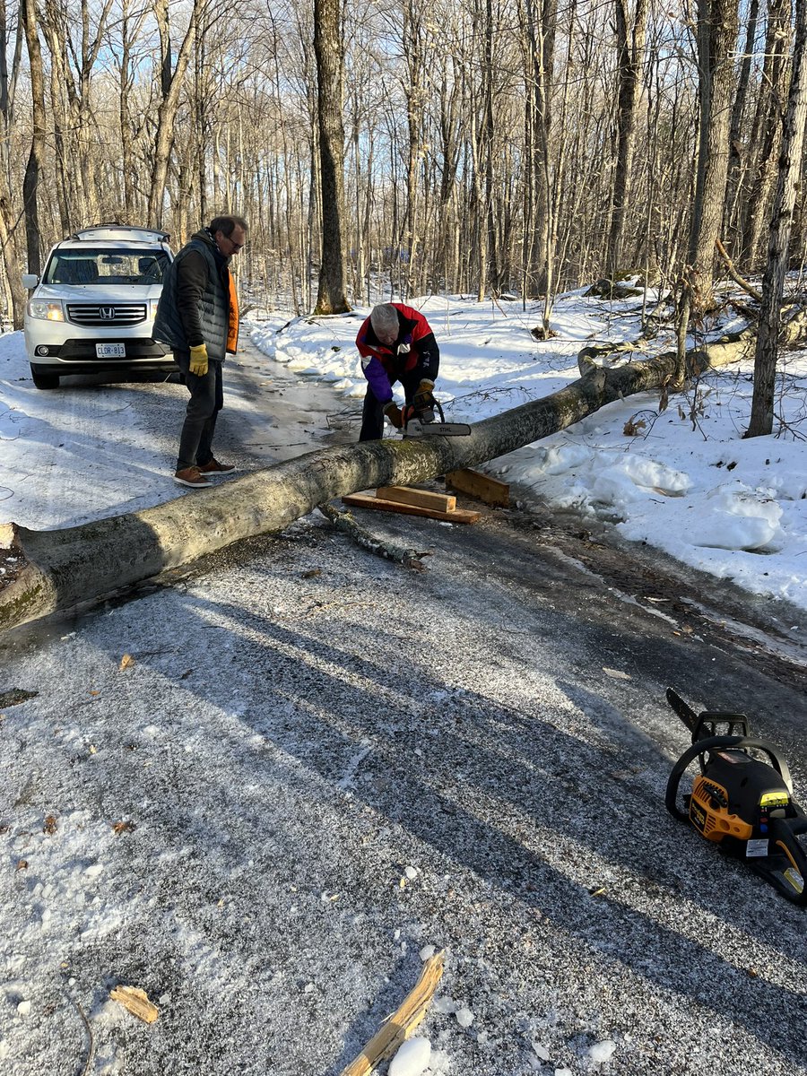 MirilynSharp's tweet photo. Happy to report that my fabulous real estate agent @danimrie who sold me the cottage in 2014, STILL comes to my rescue whenever needed. He and my awesome neighbours chainsawed and pulled the tree off the road. Woohoo!! https://t.co/v42cKkNU8M
