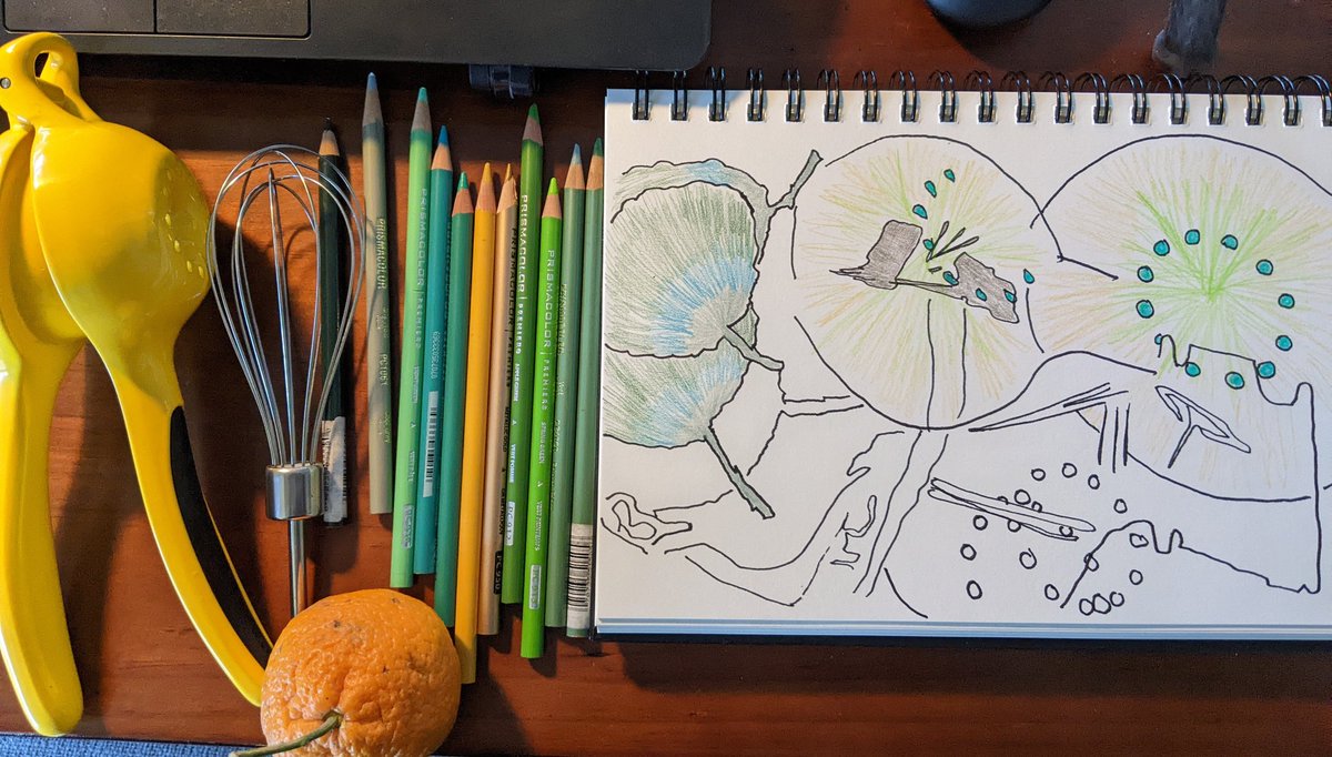 Learning through play. This morning <a href="/georgina_in_dc/">Georgina Ardalan🐘</a> led families with <a href="/ngadc/">National Gallery of Art</a> in discovering shadow drawings using everyday household objects. What story do you see emerging from the shadows created using a lemon press, whisk, and clementine?