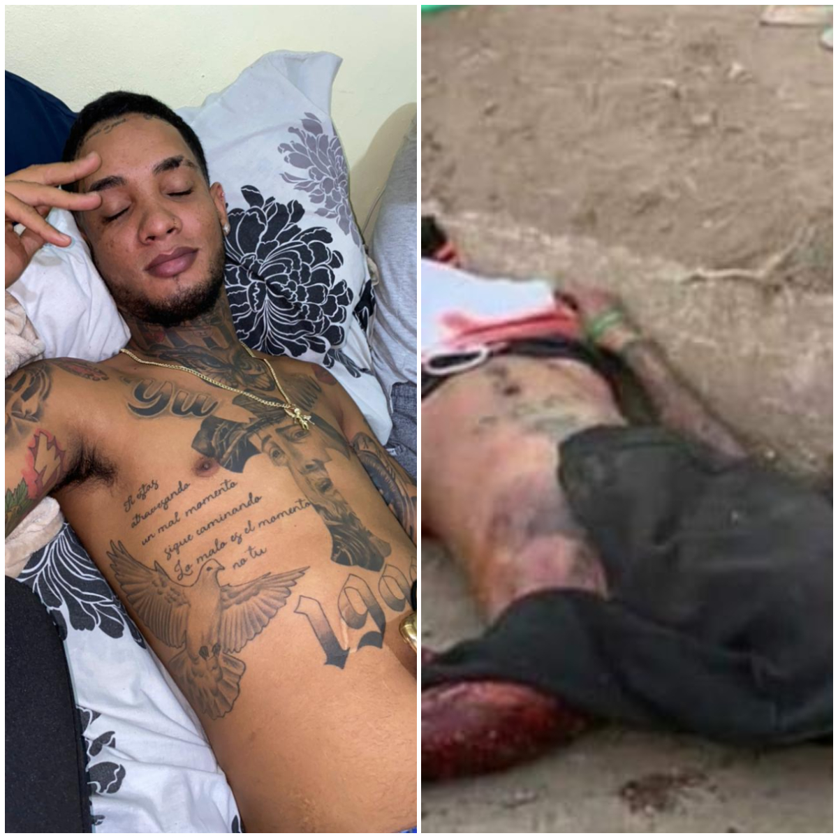 Noticias SIN tweet media