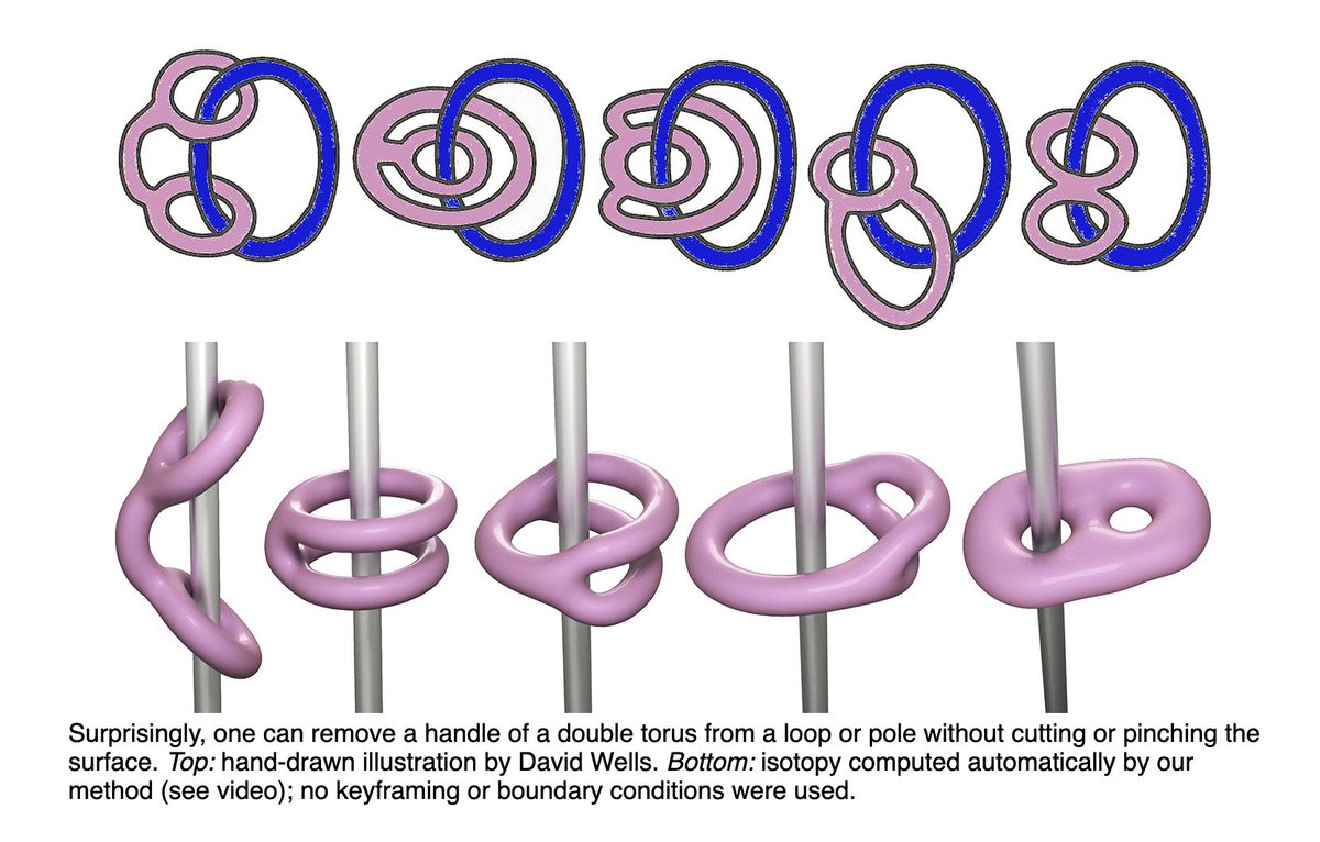 stevenstrogatz's tweet photo. I am having fun learning about the work of @keenanisalive. For example, look at this cool example. The statement is initially surprising -- "one can remove a handle of a double torus from a loop or pole without cutting or pinching the surface" -- yet the visuals make it so clear! https://t.co/AZr4wM2W5E