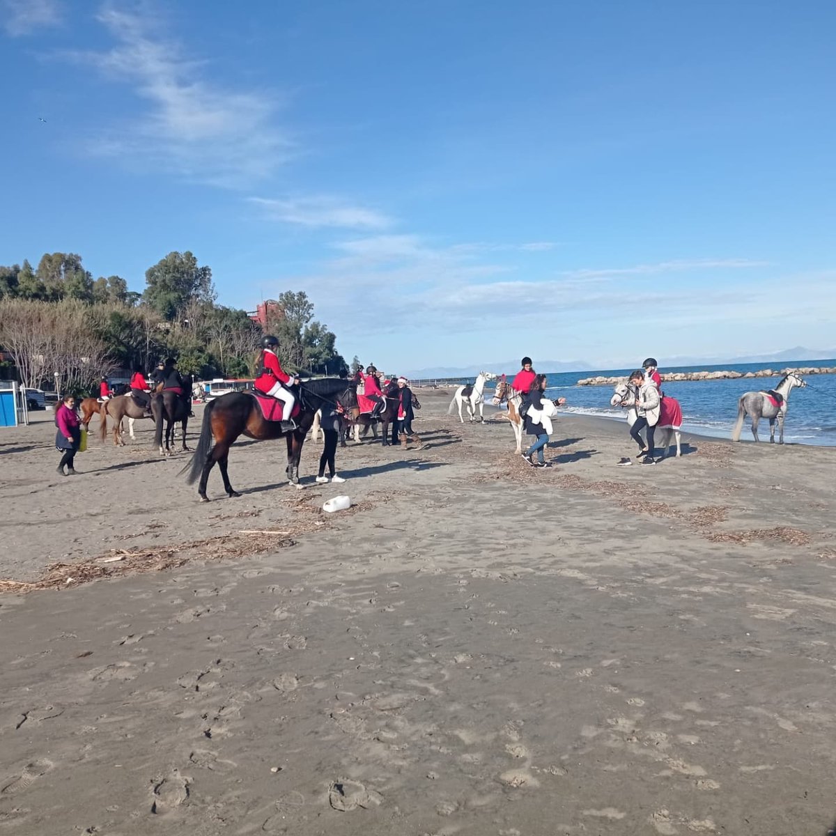 DiscoverIschia's tweet photo. Horses on the beach
It's Christmas time @ #ischia 

#nature #riding #Italia https://t.co/4Ozk9Cei7N