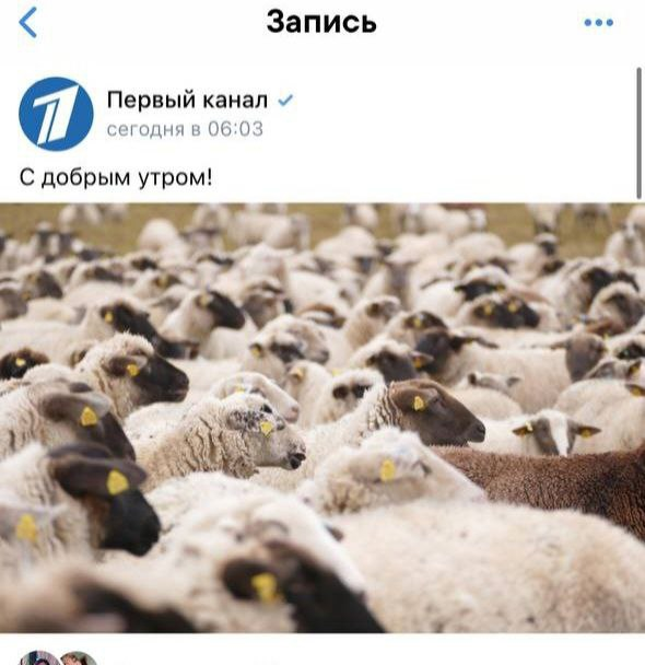 Смысл понятен?
