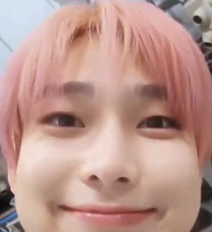 goldenksunoo's tweet photo. cleansing ur tl with sunoo's cheeks https://t.co/Ut5nZJG7PB
