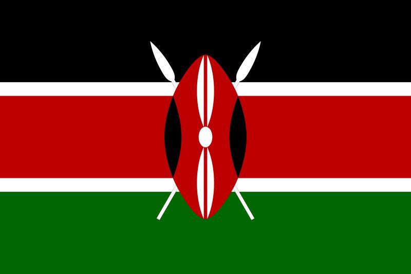 michellemwangix's tweet photo. The Flag                              The Face https://t.co/xpe9HtpG4a
