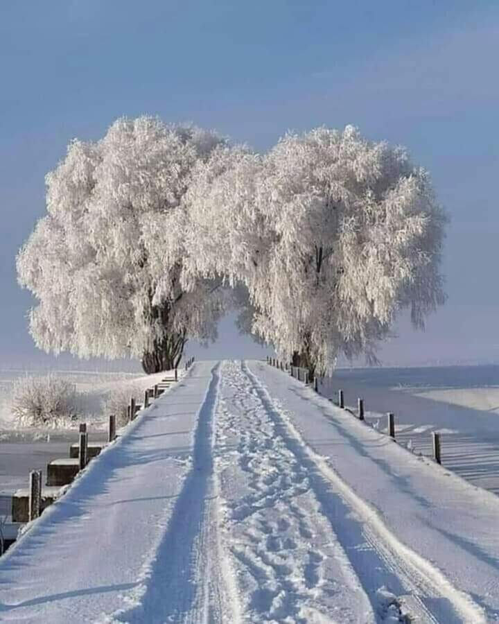 felkins_l's tweet photo. Gmorning Everyone  this picture is  from close to the upper Pennisula in Michigan https://t.co/ykJqmLQSB5