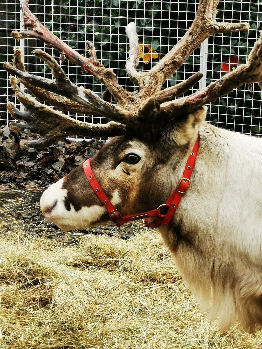 Made With Love By Debz tweet media