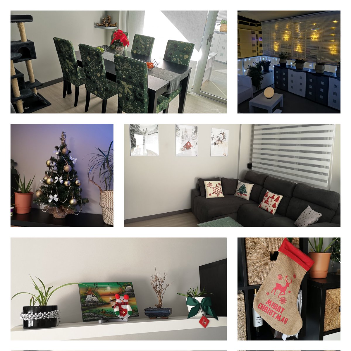 intropedro's tweet photo. ❄️🌨️🥂🍾🎄🧑‍🎄 https://t.co/Q3NlsqV9qv