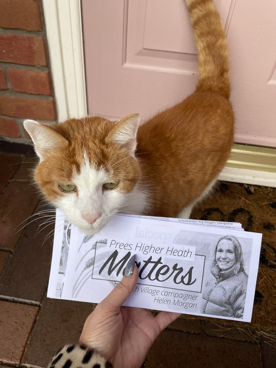 sharron_honey's tweet image. Even the cats of #prees want to know what @helenhalcrow has to say and think you should vote #helenmorgan for #NorthShropshire