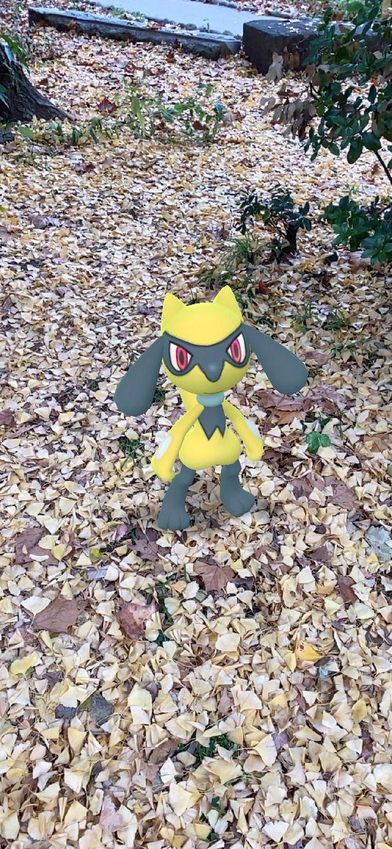 nyu_uc's tweet photo. リオルと秋散歩🍂
#GOsnapshot
#ポケモンイラスト https://t.co/kejeB3HRql