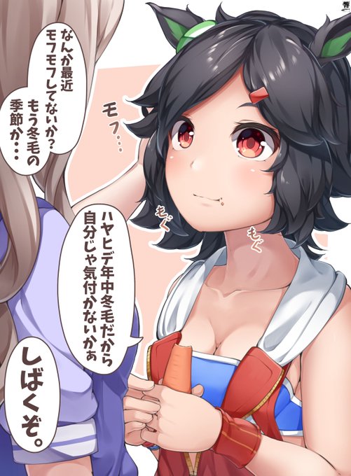 冬毛でモフモフなチケゾー 