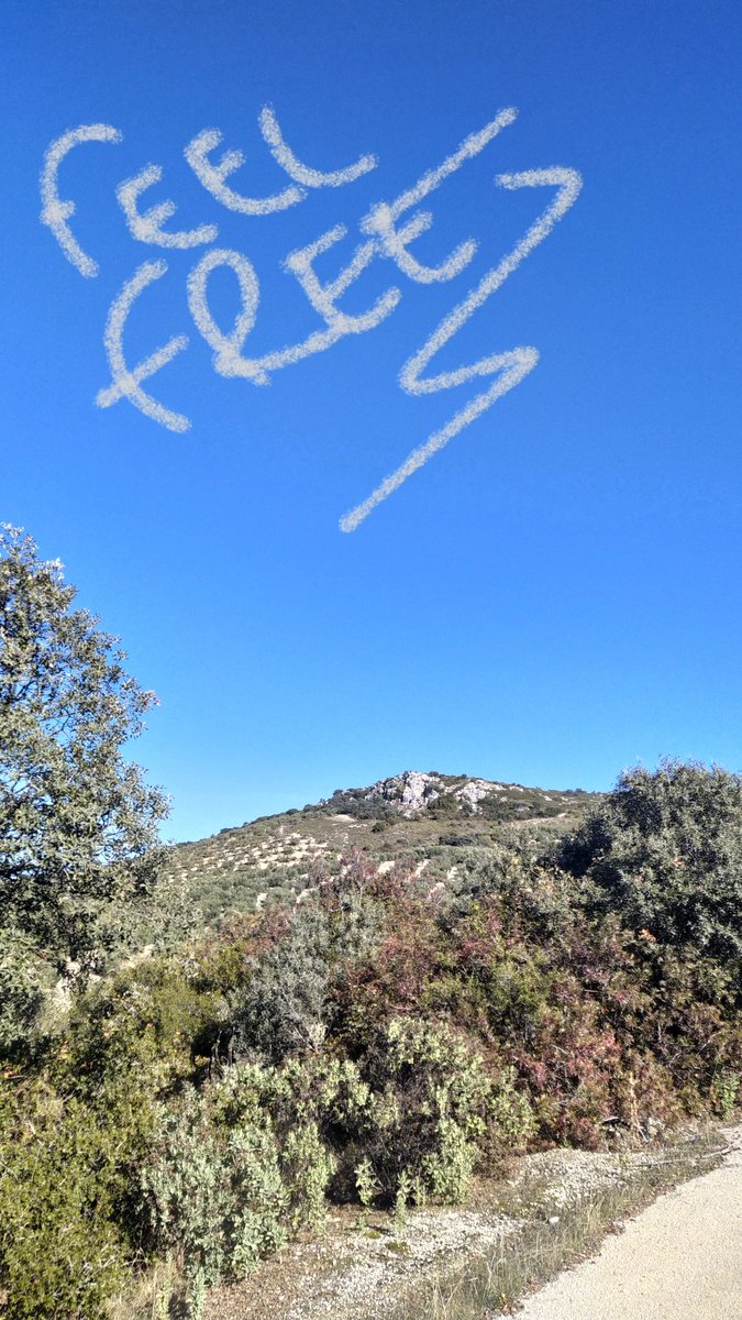 SenskeTv's tweet photo. Hoy el stream será a la noche gente. Me he tomado el día de desconexión 🌿🍃 y reconexión conmigo mismo y además quiero probar qué acogida tiene Phasmophobia por la noche 🌃 https://t.co/nrg0m5fQ1V