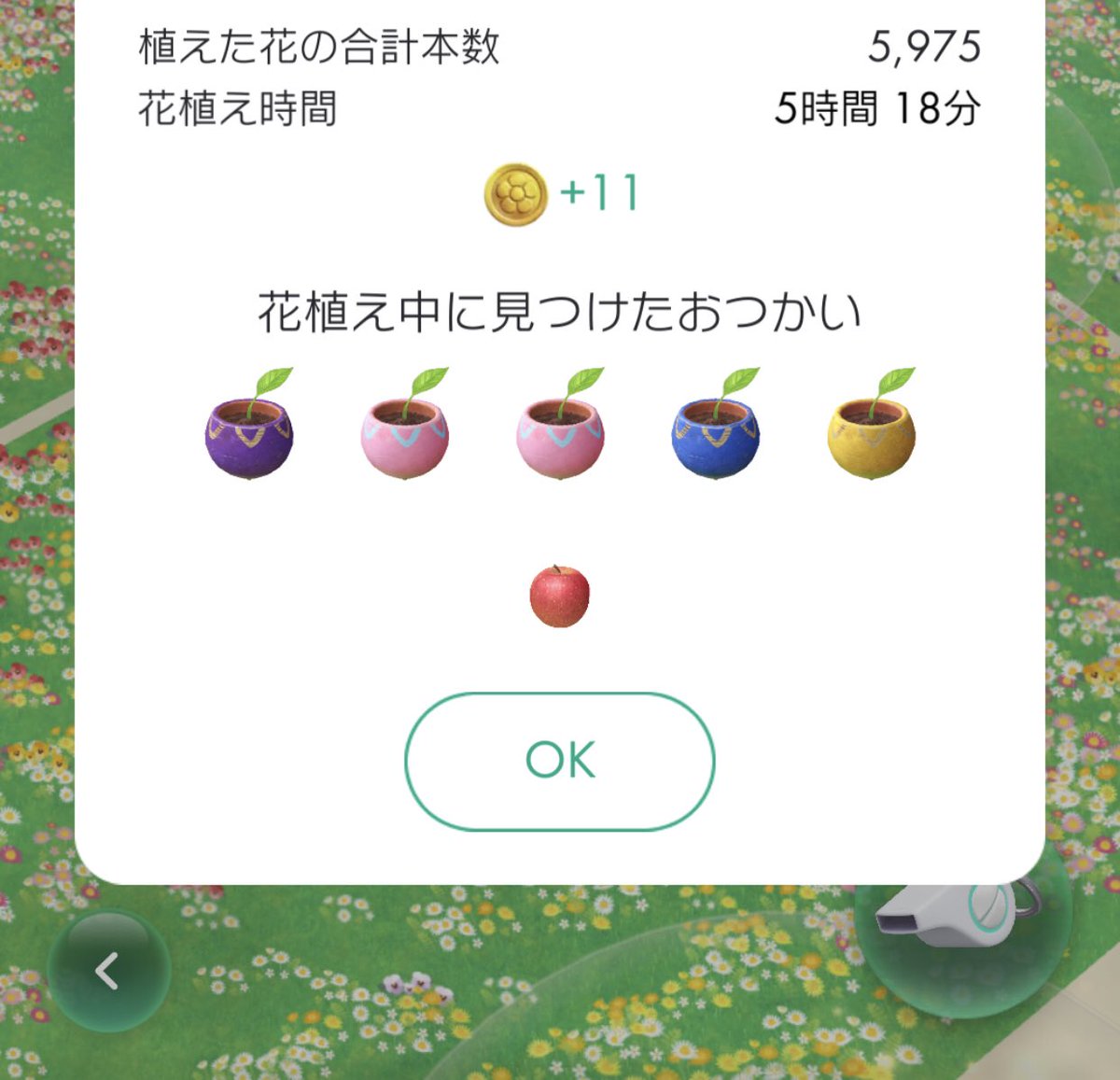 hope_and_hamu's tweet photo. ポケゴ&amp;ピクミン散歩
今日は21,363歩！
色んな所を歩いたからデコ苗いっぱい✧︎*｡٩(ˊωˋ*)و✧︎*｡
スペシャルウィークエンドはほとんどポケゴプラスで自動取り。ココドラとヤジロンの色違いGET✧︎*。#ポケモンGO #PokemonGOspecialweekend #PokemonGO #ピクミン #ピクミンブルーム #PikminBloom https://t.co/g7cjPPRwrw