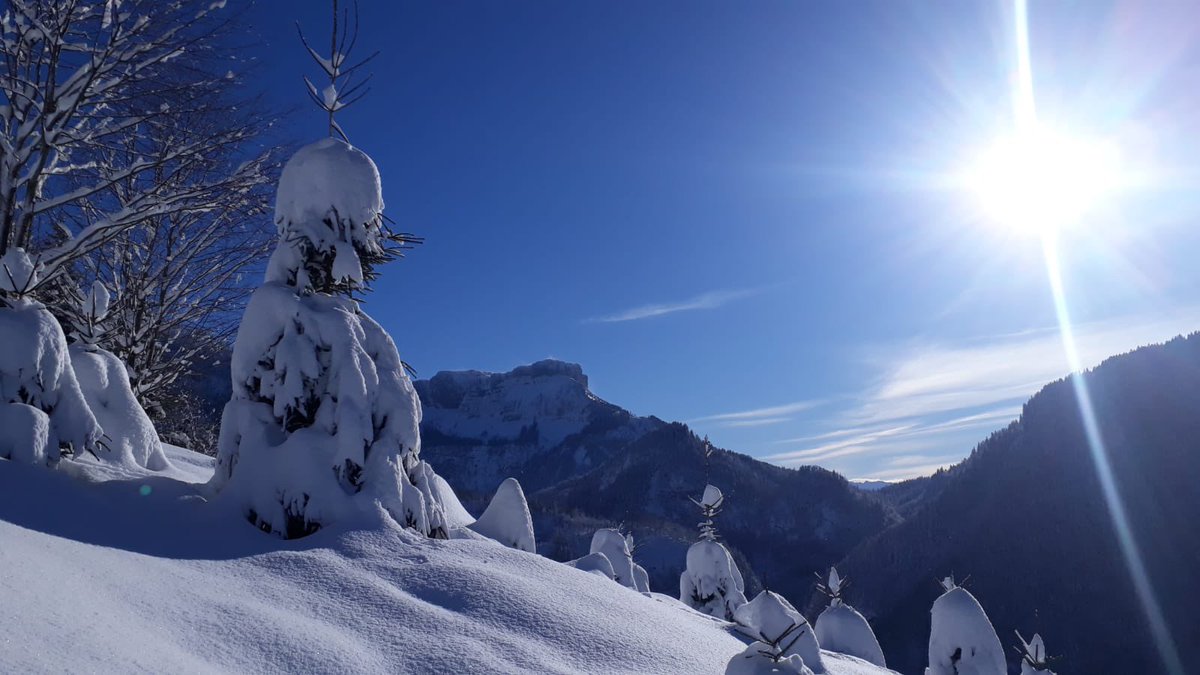 j_haudum's tweet photo. There’s really no need to dream of the beach in December. Paradise is in front of the door. #austria ☺️🏔
#paradiesdaheim #österreich #bergluft #sonnetanken https://t.co/Tas692bQjC