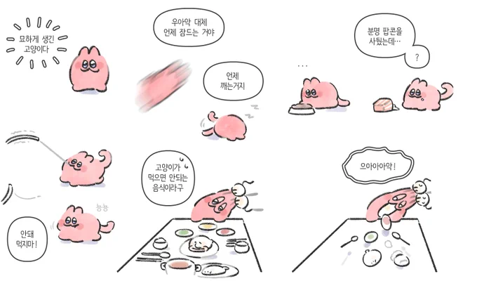 차유진(진짜고양이)드림 