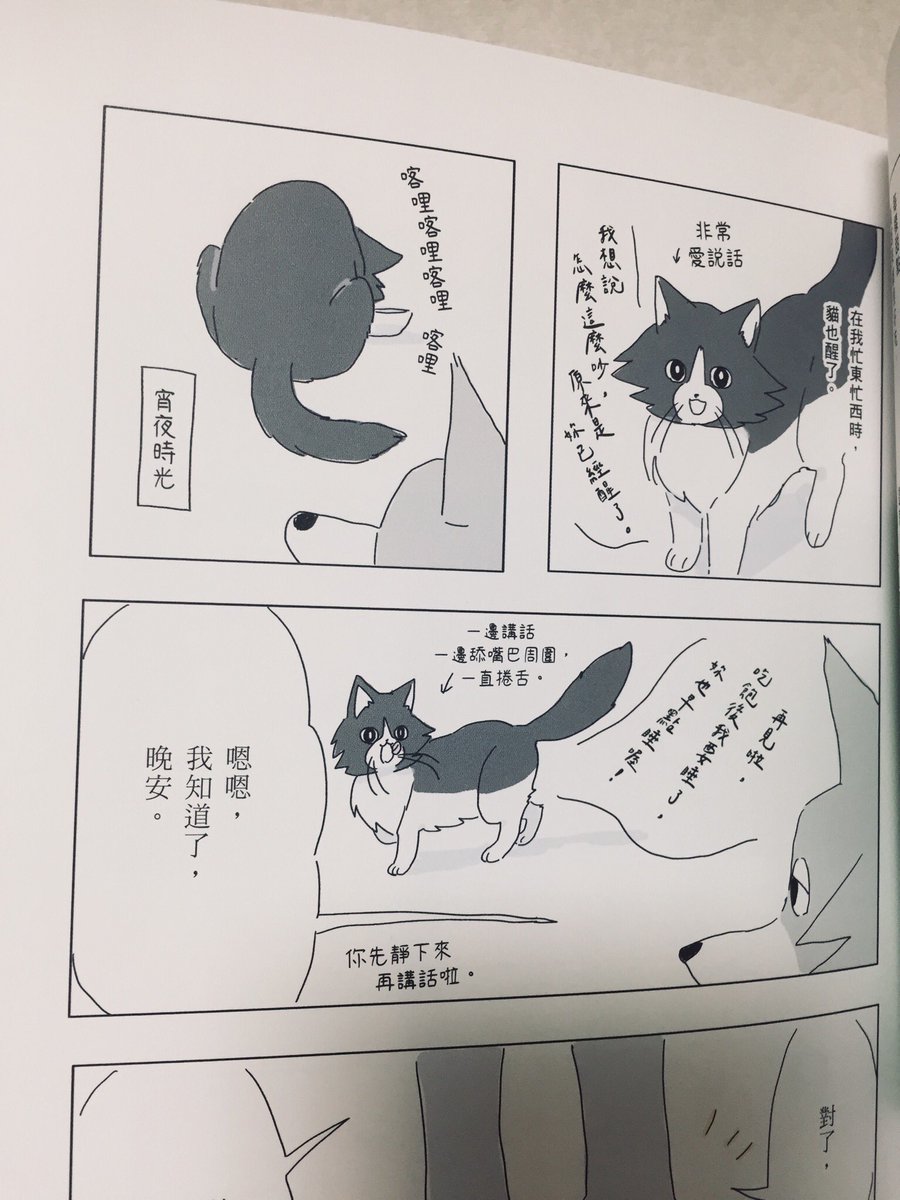 『眠れぬ夜はケーキを焼いて』1巻の台湾版が届きました バイリンガル猫が面白い…(台湾版にはレモンケーキとスコーンのレシピミニファイルどちらかがつきます)🍋🌾 