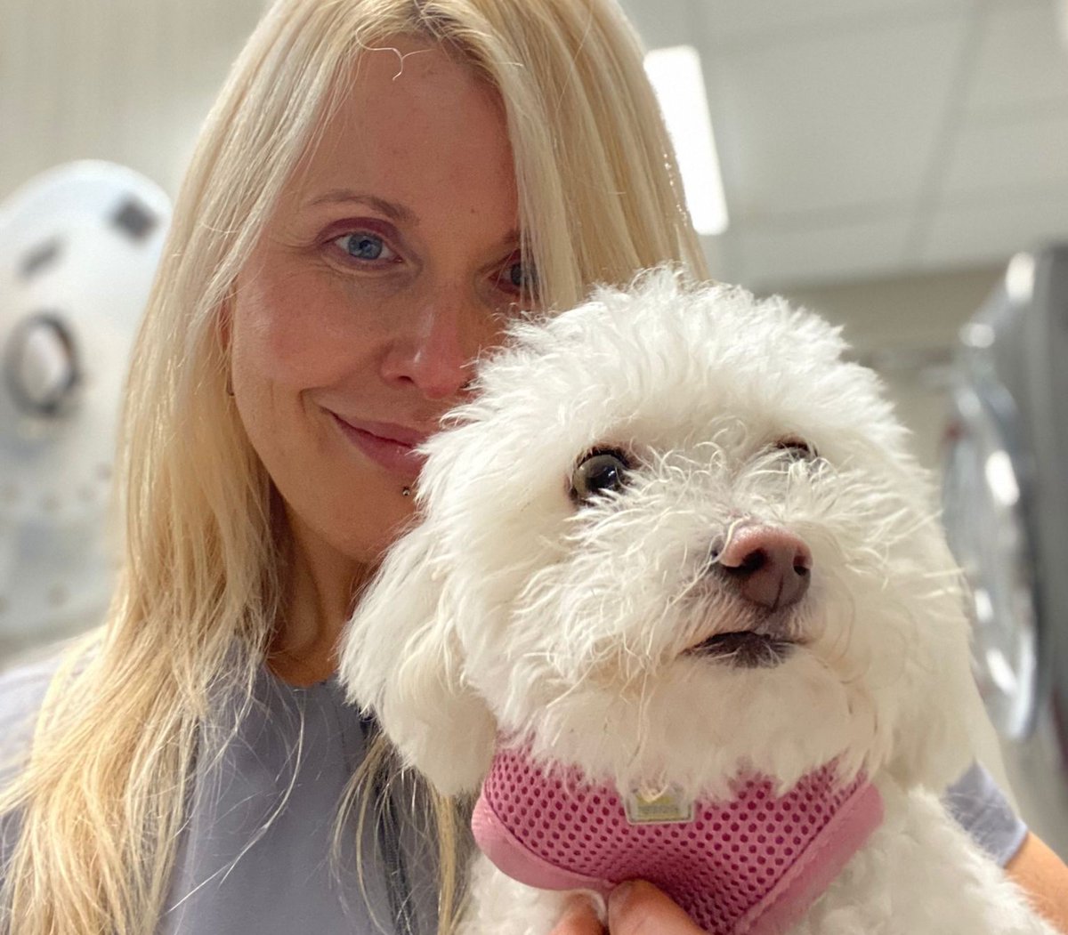 DrEllenKinzl's tweet photo. Dr Ellen and the beautiful Bianca. Is that 10,000-yard stare a sign Bianca is pondering life's great mysteries, or is it just the treat jar across the room? #wemayneverknow
.
.
#beautiful #whitedogs #toronto #torontodogs #veterinarian #downtownvet #torontovets #libertyvillage https://t.co/y0ZEpI2Fps