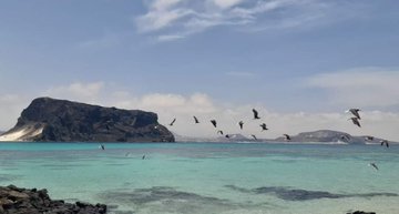 Chinese Embassy to Yemen tweet media