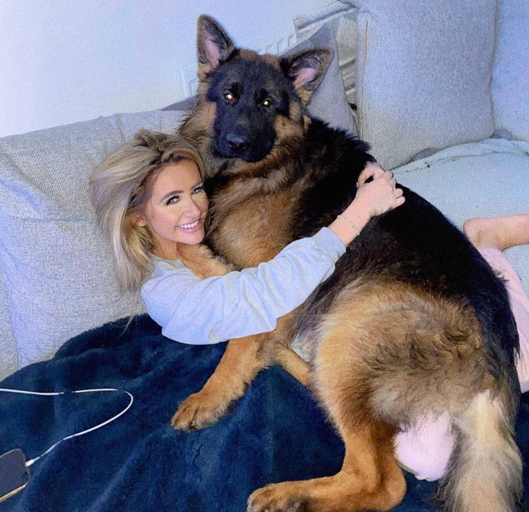 gsdduppy's tweet photo. 😍😍😍

#gsd
#rousy 
#dog https://t.co/2hCyyhq1yd