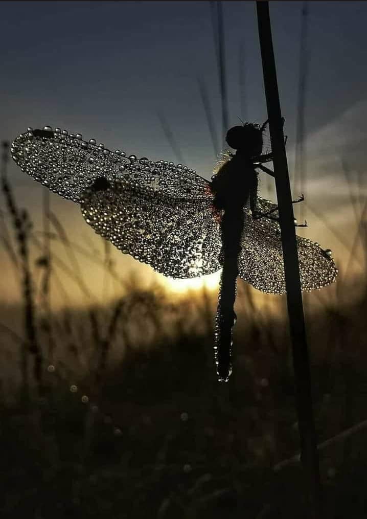Sigamos aferrándonos a lo hermoso de la vida, a soñar, a luchar, a vivir y a ser felices y sobre todo a compartir nuestra felicidad.

Hoy decido vivir vibrando y multiplicar lo que siento compartiéndolo contigo ❤️