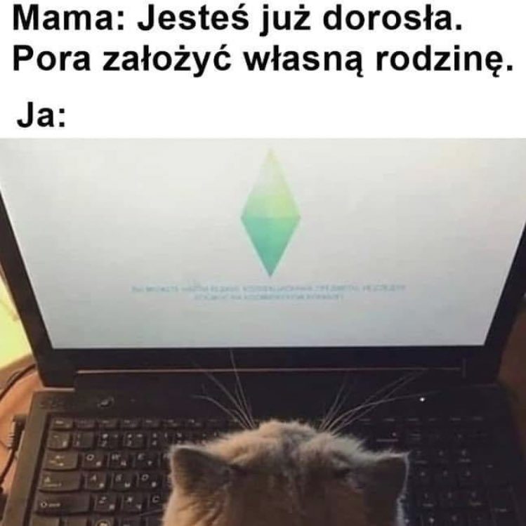 pozeramdzieci's tweet photo. jasne, do czasu aż przyjdzie pokojówka https://t.co/Zol17mGQHH