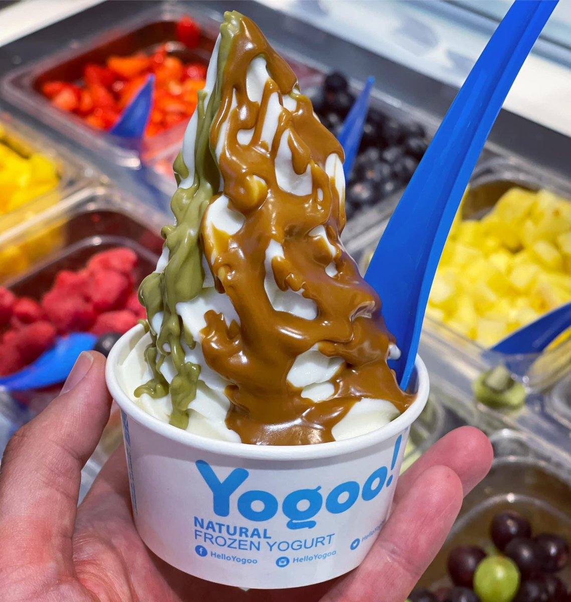 Yogoo! Natural Frozen Yogurt tweet media