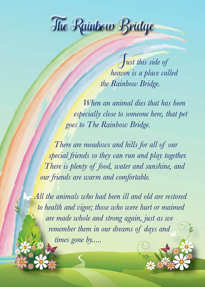 CDemon2077's tweet photo. @_Xoanon_ I’m so sorry…letting go of a pet is never easy. You have them an amazing life and they will always be with you! https://t.co/jtJ5uBOG5K