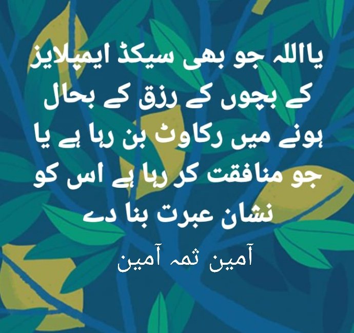 TariqKh14270965's tweet photo. #stopillegaltermination https://t.co/Ky3EdIoYqT