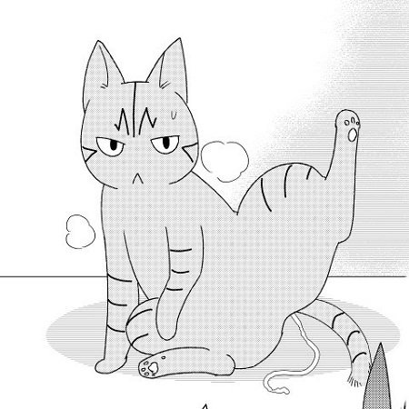 「猫のお尻から糸やヒモが出た時は絶対に引っ張ってはダメ」 猫の誤飲レポ漫画が参考になる https://t.co/mQ3O0ntzAc @itm_nlabより