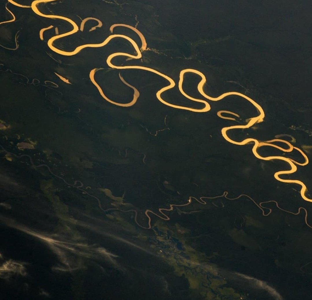 Дэлхийн хамгийн их устай мөрөн Амазон . Сансраас харагдах нь