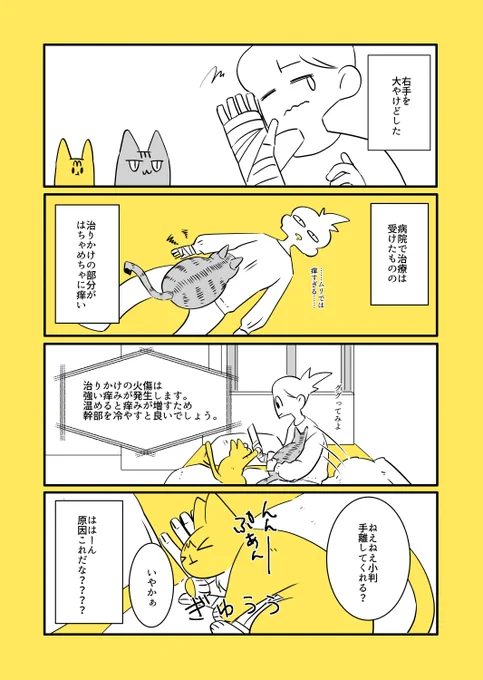 猫と子猫と悪化の原因 https://t.co/TLb4NdroH3 