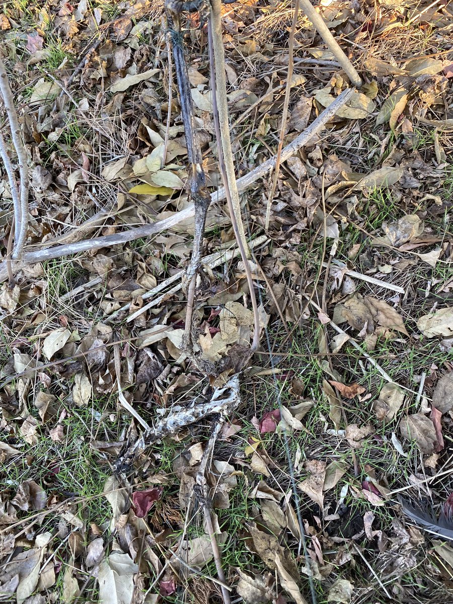 This is what fishing line does.
