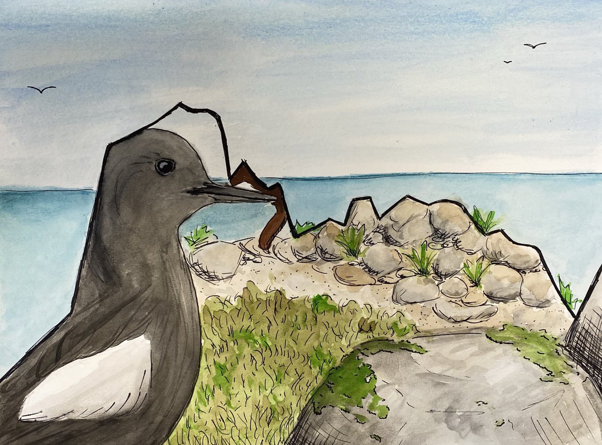 I was so impressed with my students’ final projects this semester using watercolor art to illustrate climate change related graphs. The assignment is based on Jill Pelto’s work <a href="/GlaciogenicArt/">Jill Pelto</a> and Ryan Becker’s <a href="/scifri/">Science Friday</a> lesson (sciencefriday.com/educational-re…) <a href="/app_earth_sci/">AppState Geo&Env Sci</a> <a href="/AppStateCAS/">App State College of Arts and Sciences</a>