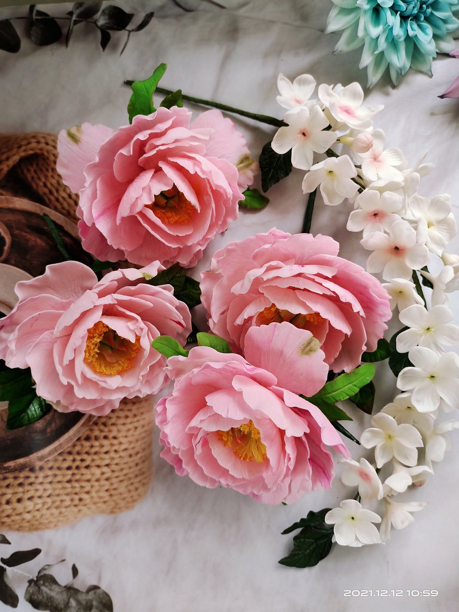 AngcacoGhie's tweet photo. Edible Flowers❤️❤️ https://t.co/QrS5fdPCdw