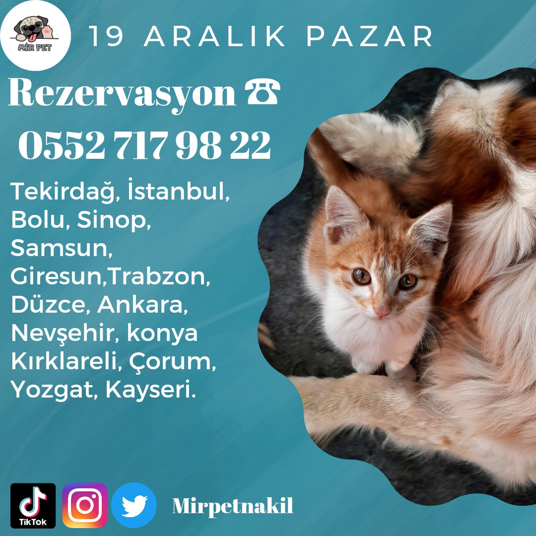 Rezervasyon ☎️ 0552 717 98 22
#fypシ #petnakildesteği #petnakilankara #pettaksiturkiye #petnakilistanbul #pettaksiistanbul #petnakilaranıyor #pettaksi #petnakiltasima #petaksiistanbul #petnakil #petnakiledirne #petnakiltekirdag #edirne #istanbul #tekirdağ #sakarya