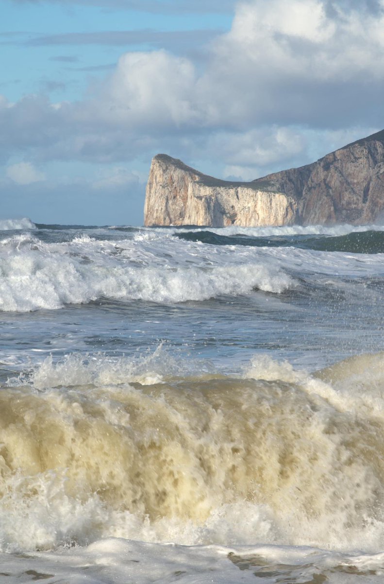 Giuseppe (A.) Di Marco (@dimarcog) on Twitter photo 