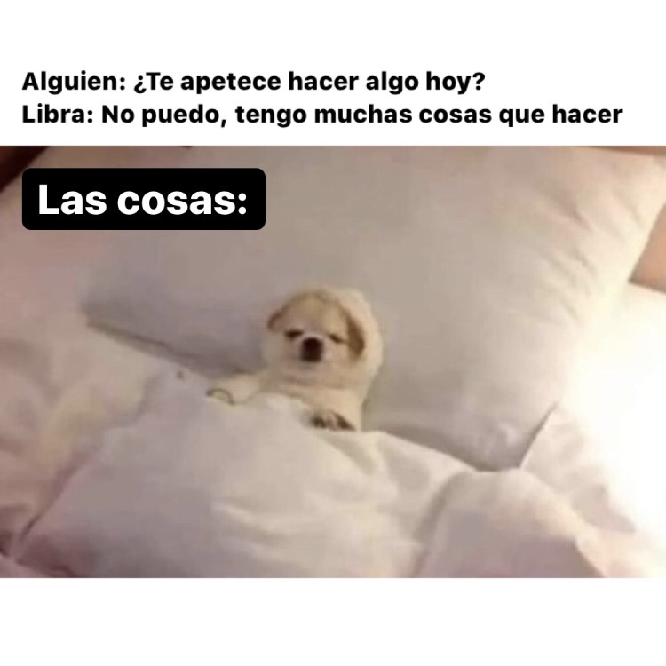 libra_hn's tweet photo. 🤣🤣🤣 #libra #horoscoponegro https://t.co/qd8jiN1Vvm