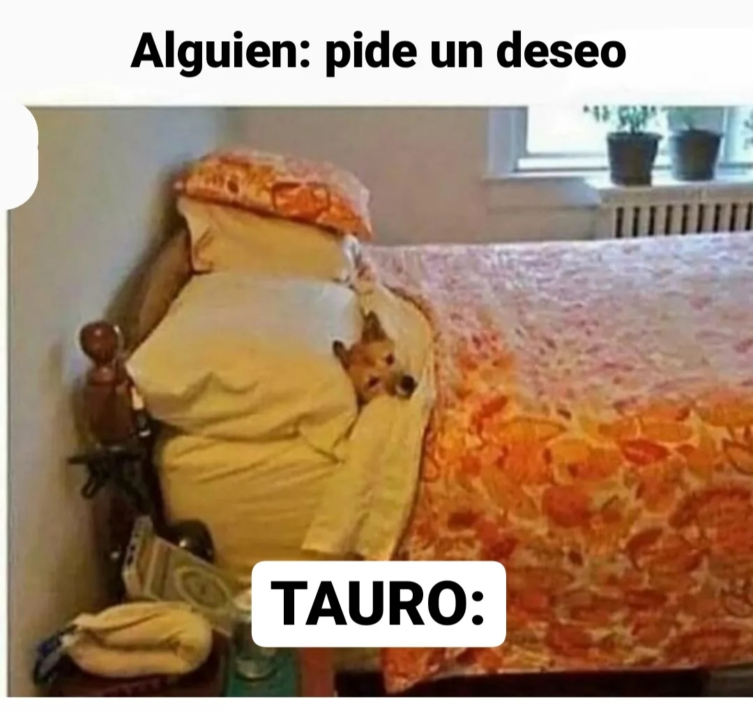 Es nuestra pasión 💤