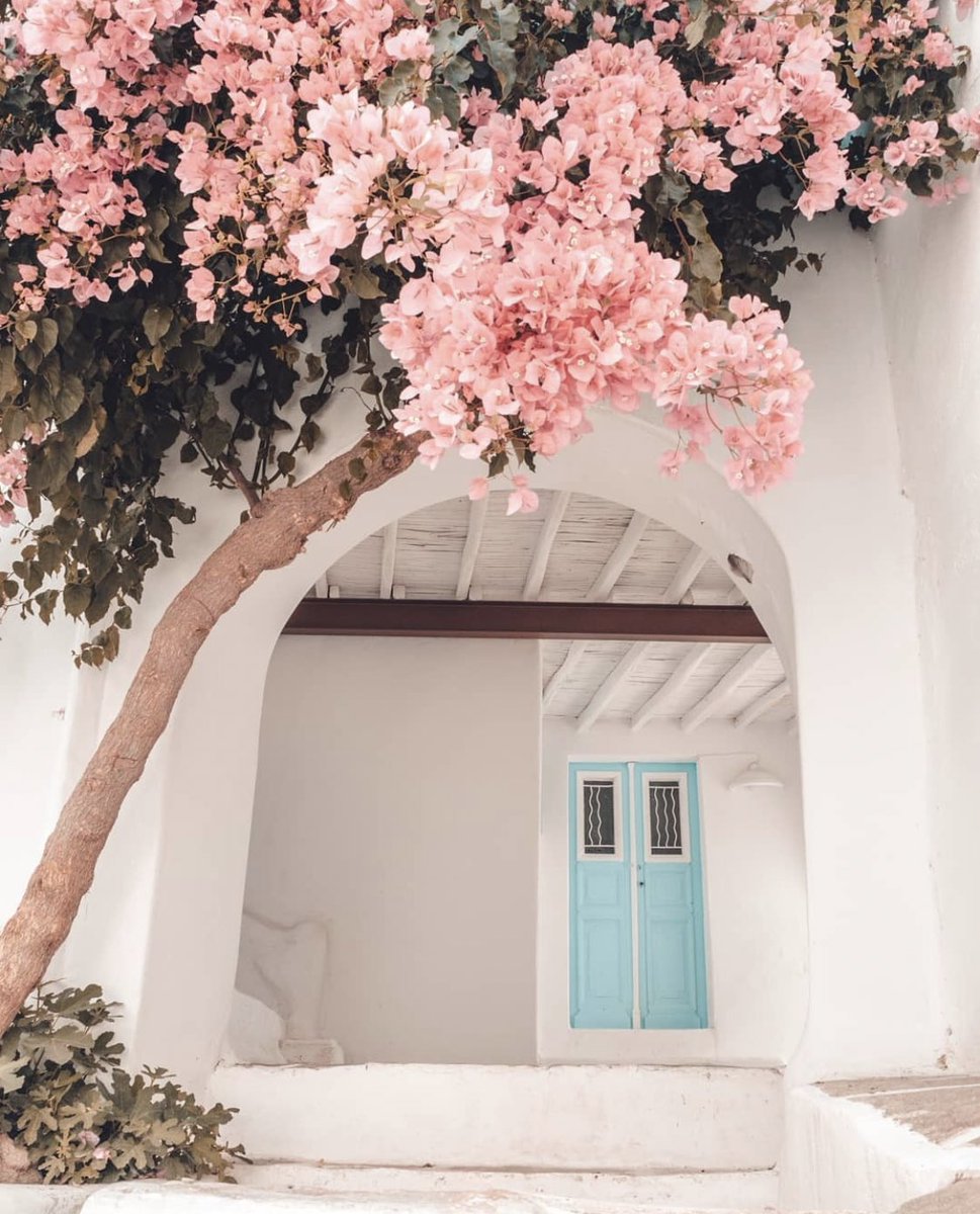 aestheticspost_ tweet picture