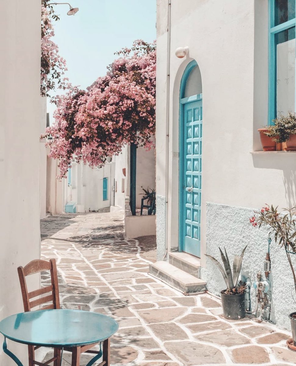 aestheticspost_ tweet picture