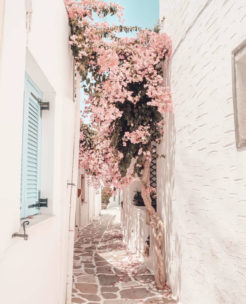 aestheticspost_ tweet picture
