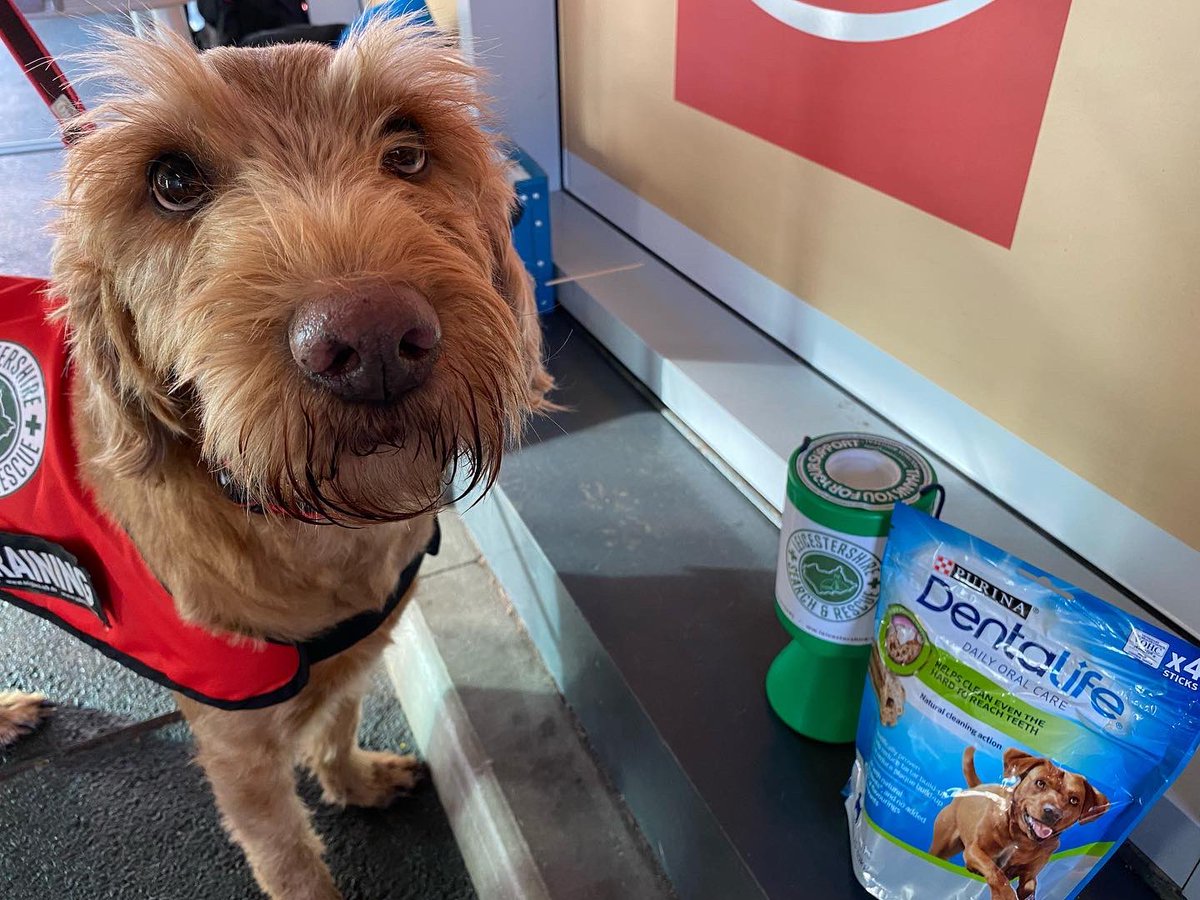 EMAS_TimH's tweet photo. Rest days today, out with @LeicesterSAR and Ted fundraising. Lots of love for him today, even got his own donation thank you! Sharing as someone wanted more pics of him ๐คฃ #searchdogtraining #labradoodle https://t.co/f3tGABOzTn