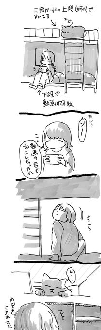 かわいかったなあってだけで特にオチはないです 